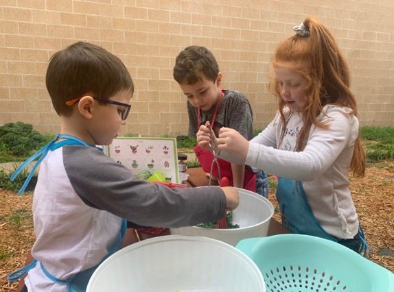 Alba-Golden kindergarten students, Deacon, Dylan and Ryleigh, learn to make a super kale salad with vegetables they grew in their school garden.